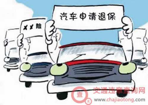 车辆报废保险可以退吗